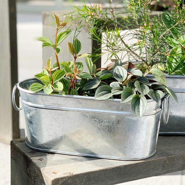 Clover クローバー ブリキロングプランター F30 5 鉢カバー ブリキ 鉢 おしゃれ プランターカバー ブリキの鉢 室内 植物 インテリア Upstairs Outdoor Living 通販 Yahoo ショッピング