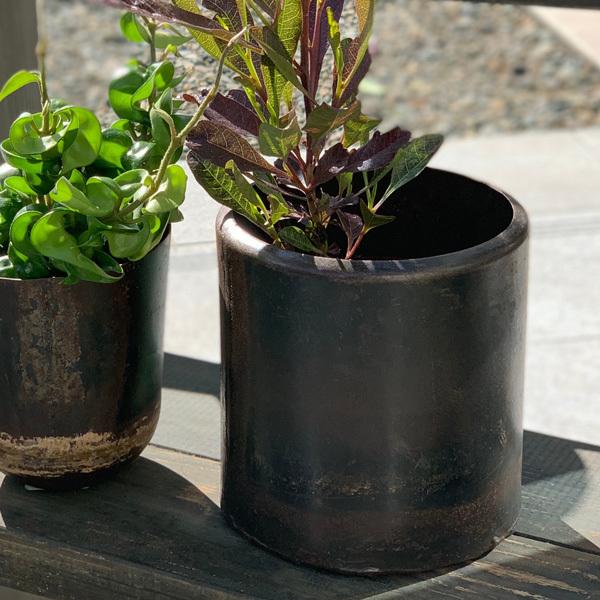 Affari(At@) gW[|bg V_[ 21 6 Jo[ v^[Jo[ |bg ϗtA   