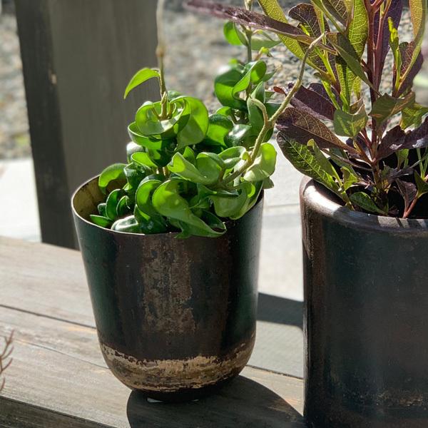 Affari(At@) gW[|bg H11 1 Jo[ v^[Jo[ |bg ϗtA   