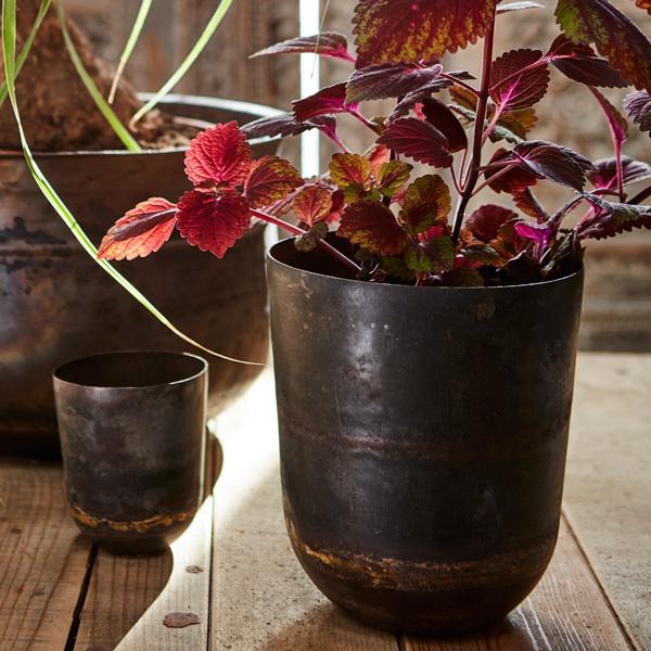 Affari(At@) gW[|bg H24 7 Jo[ v^[Jo[ |bg ϗtA   