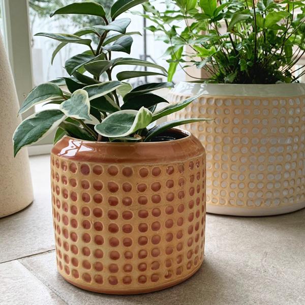 D M ディーアンドエム コンフリクトポット ピーチ ホワイト F15 鉢 ポット カバー ラウンド おしゃれ 室内 植物 インテリア雑貨 Upstairs Outdoor Living 通販 Yahoo ショッピング