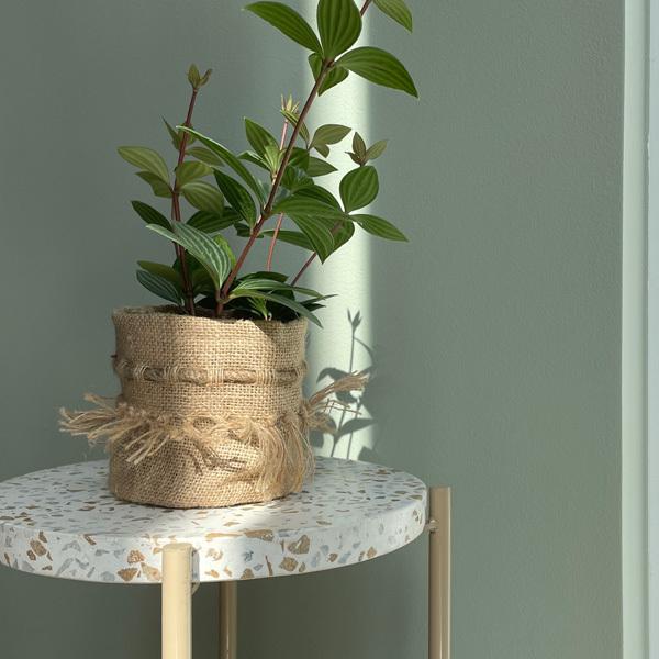 Affari(At@) Jt@|bg 12Jo[ |bg v^[Jo[ t[|bg W[g  ꌊȂ 12cm ی^ ϗtA