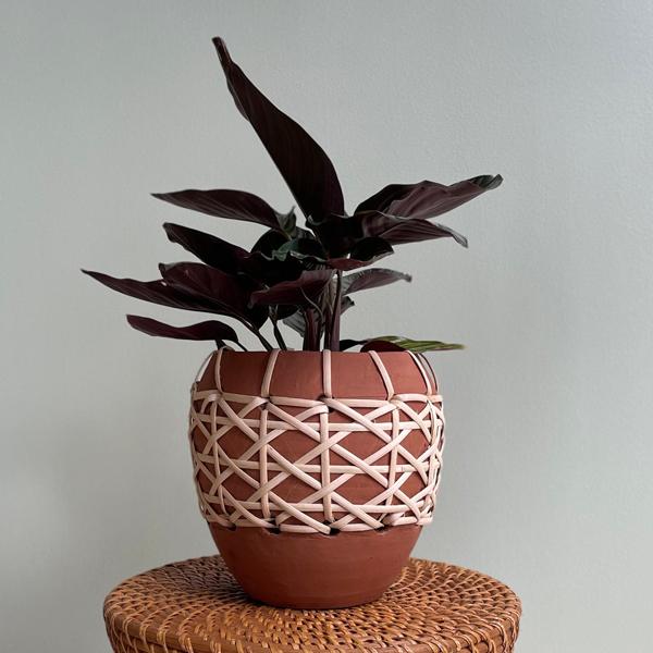 CLOVER(N[o[) eRb^/P[ v^[ 17 4 Jo[ |bg v^[Jo[ t[|bg eRb^