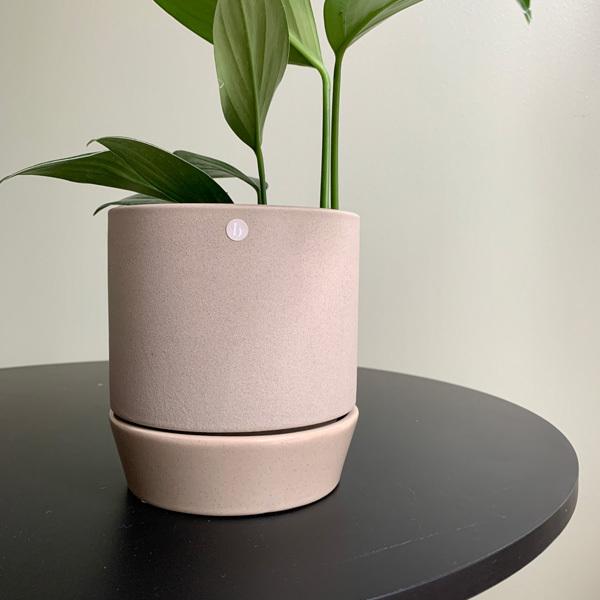 broste COPENHAGEN(uXe) t[|bg EBY\[T[ 14 x[W/bh/`R[ 4 Jo[ v^[Jo[ |bg ϗtA 