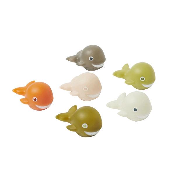 SUNNYLIFE(Tj[Ct) oXXNC[^[ zG[ 6Zbg C v[  V W[  V j XC~O  