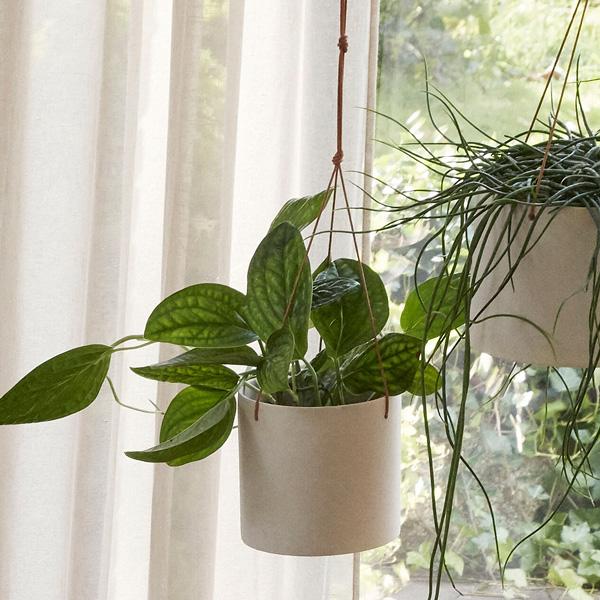 Hubsch エアロハンキングポット ホワイト サンド セット Hubsch(ヒュプシュ) エアロハンギングポット Φ20 ホワイト/サンド 6号