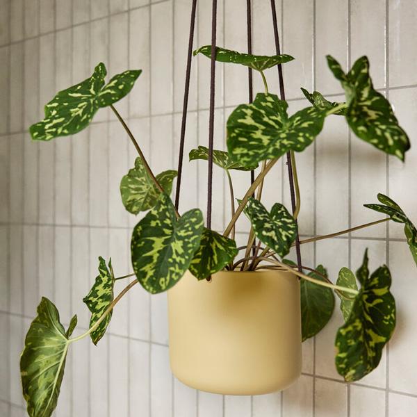 Hubsch(ヒュプシュ) ロータスハンギングポット シングル グレー