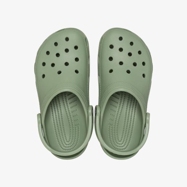 clustic-r_10001-308_1_d_20240918160210