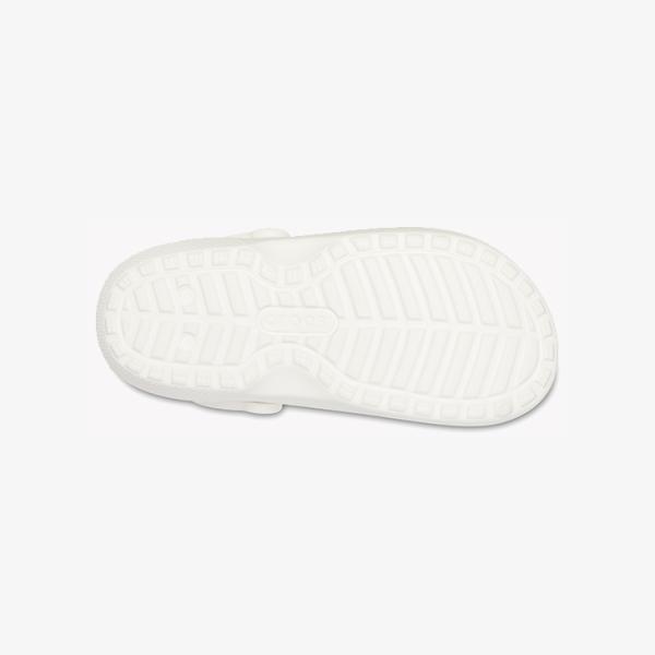 clustic-r_203591-10m_4_d_20221004115003