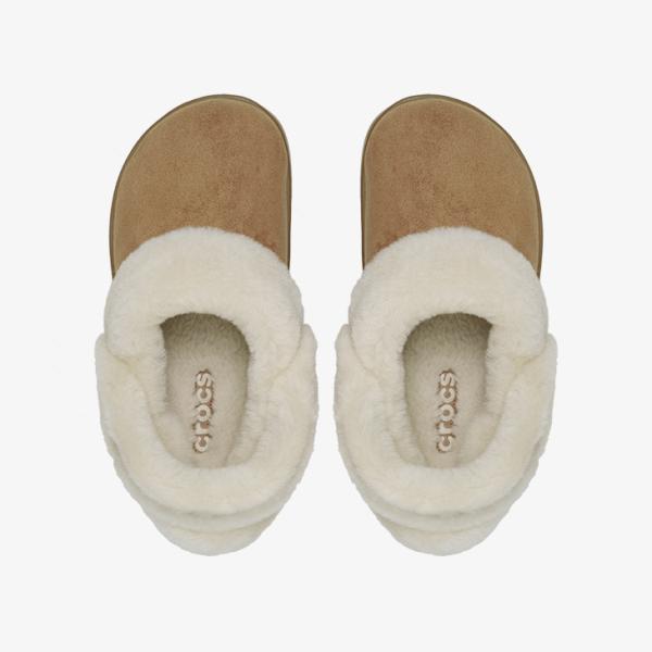 clustic-r_212106-2ey_1_d_20251029164743