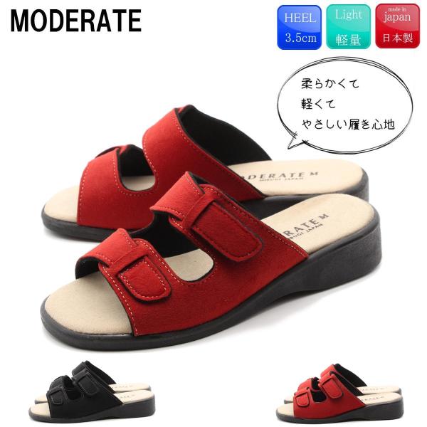 clytie-tanpopo_10-5106