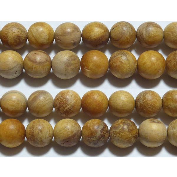 pTg i_̍؁j ۋ 8mm@@@ r[Y 1 o 1ʔ̔