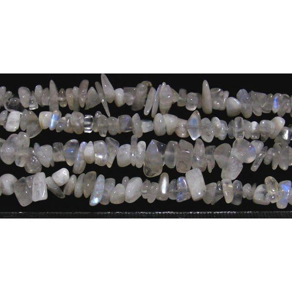 u[[Xg[ @@@ VR΃r[Y VR p[Xg[ 1 o 1ʔ̔