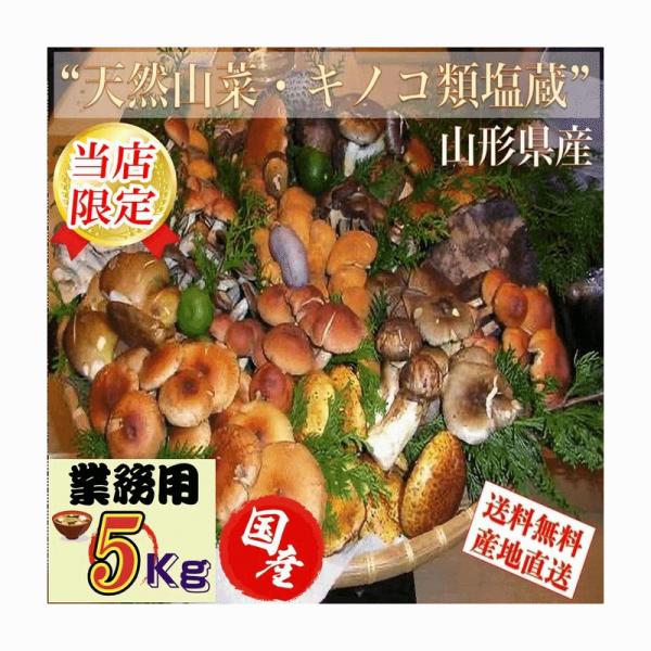 cmtdesign_bbb3b7c1b45