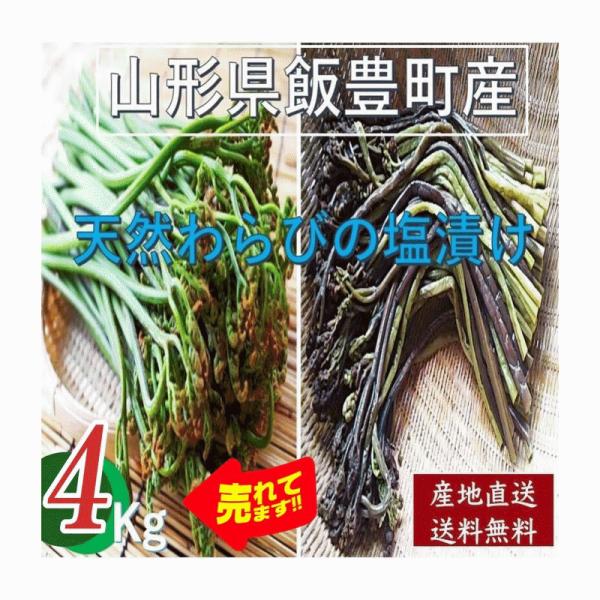天然山菜 わらびの塩漬け/4Kg 自然の恵み 限定予約販売 山形県