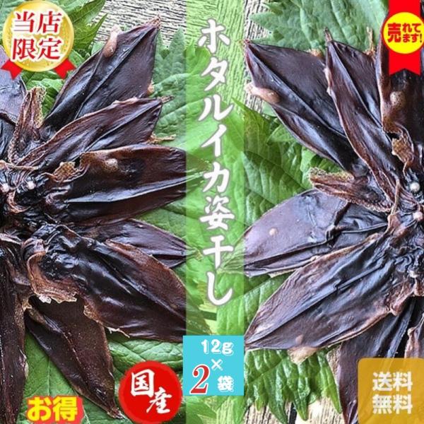 海産物 ホタルイカ姿干 12ｇ/２袋 送料無料 メール便