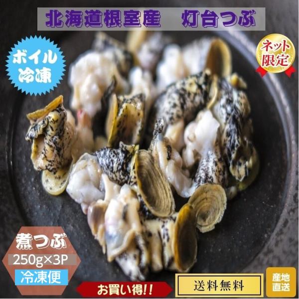 北海道根室産 漁師直送 味付け煮ツブ（灯台つぶ）冷凍250ｇ/3パック 送料無料