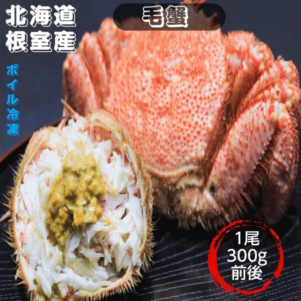 毛蟹 3００g前後 ボイル冷凍 北海道根室産 送料無料 産地直送