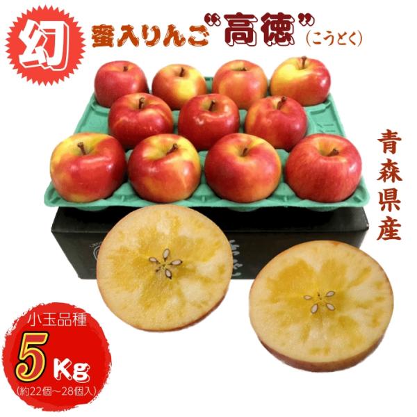 りんご 予約販売 話題のこうとく 5Kg 人気の高徳 小玉こみつ