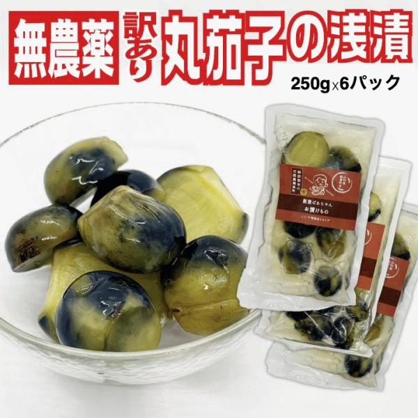漬物 訳あり 伝統野菜 柿渋無農薬 薄皮丸茄子 瓶詰め浅漬け 250g×6袋セット 山形県飯豊町産 送料無料