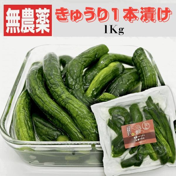 漬物 伝統野菜 柿渋無農薬 きゅうり1本漬け １Kg 山形県飯豊町産 送料無料