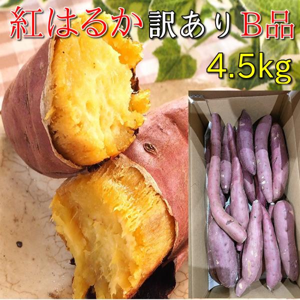 さつまいも 紅はるか 千葉県産 訳あり B品 約4.5kg サイズ不揃い