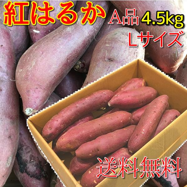さつまいも 紅はるか 千葉県産 A級品 約4.5kg Lサイズ : うまい さつまいも 紅はるか 千葉県産 A級品 約4.5kg Lサイズ : うまい
