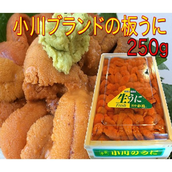 濃厚な甘みが特徴のエゾバフンウニを木箱に綺麗に並べた極上のウニになります。有名youtuberも絶賛の小川水産の生うに。当店舗で卸してる料理屋さんでも大変好評な一品となっております。スーパーではまず見かけない板ウニをご家庭でぜひご賞味くださ...