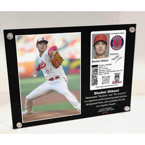 MLB ロサンゼルス・エンゼルス 大谷翔平  IDカード付フレーム証明書付1cc MLB ロサンゼルス・エンゼルス【 大谷翔平 / IDカードフレーム