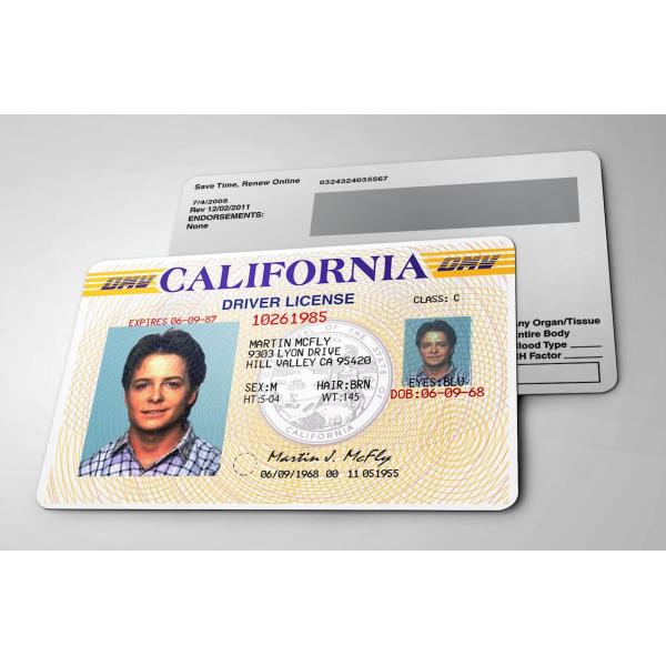 映画【 Back to the Future / バック・トゥ・ザ・フューチャー / マーティ 】マイケル・J・フォックス ID card カード/コレクション-1