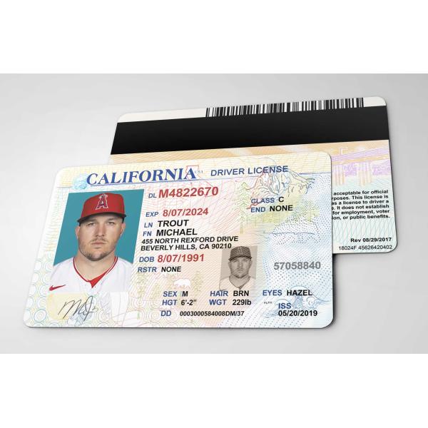 MLB【 Mike Trout / マイク・トラウト 】メジャー プロ野球選手 /IDカード/レプリカ/コレクション -2