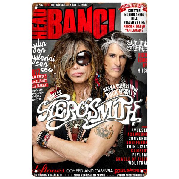 ブリキ看板【Aerosmith/エアロスミス】ロックバンド/音楽/ポスター/マガジン風/雑誌/インテリア/サビ風-7