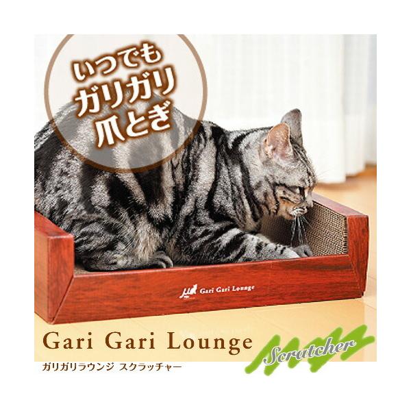 EW^NE`O^Cv KKEW Lp ܂Ƃ | _{[ L ܂Ƃ ܌ i{[ ߂Ƃ XNb`[ CeA ~