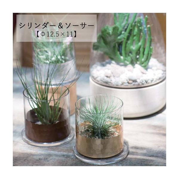 シリンダー ソーサー F12 5 11cm 全3カラー シルバー ゴールド コッパー 植木鉢 シンプ 鉢 よせ植え ポット 授与 ガーデニング 鉢植え