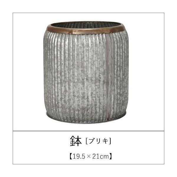  uL 46×51cm | Aؔ  A |bg K[fjO 悹A Vv _ uL 񂹐A AeB[N