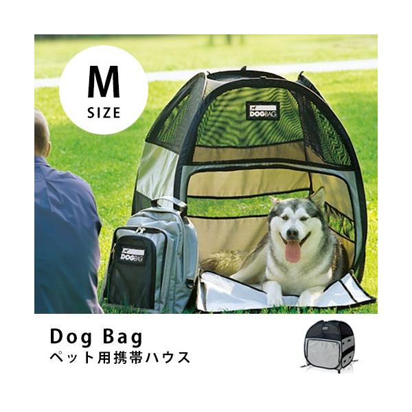 DOgBAg hbOobO MTCY | ybg L  eg ybgnEX ybgeg Lv AEghA