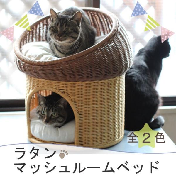 ybgp^}bV[xbh | I[nhCh VRfރxbh Lbgxbh Lbg LbgnEX  gE ^ xbh lR