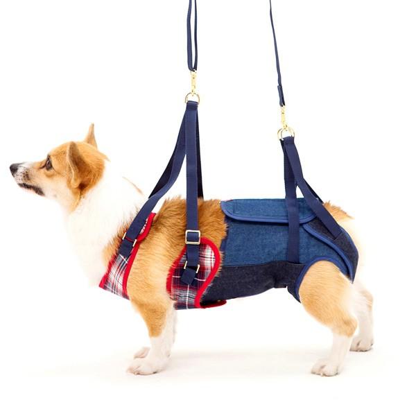 犬 ハーネス 中型犬 中型犬用ハーネス 介護 介助 コーギー用 歩行補助ハーネス Cm Cl 歩行介助用 歩行補助用 Avtovokzal Gomel By Index Php