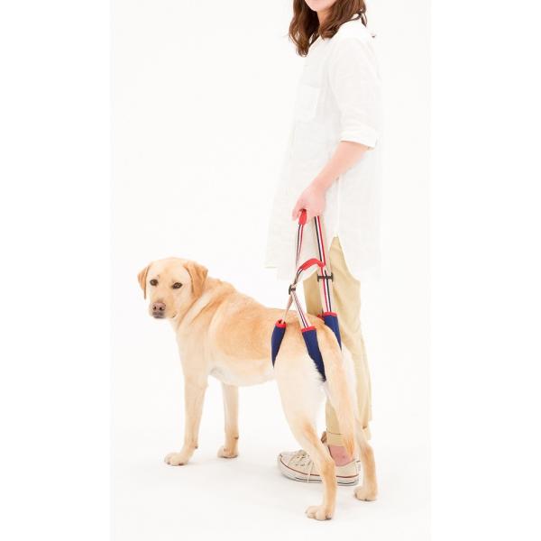 歩行補助ハーネスstep アイビー 中 大型犬用 犬 ハーネス ペット 介護 大型犬 中型犬 散歩 おでかけ 限定タイムセール