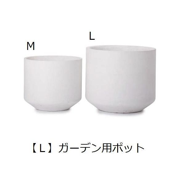 Aؔ | K[fp|bg L  v^[ Aؔ fBXvC CeA K[fjO K[fG |bg O[ A 񂹐A v