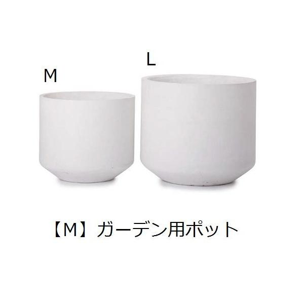 Aؔ | K[fp|bg M  v^[ Aؔ fBXvC CeA K[fjO K[fG |bg O[ A 񂹐A v