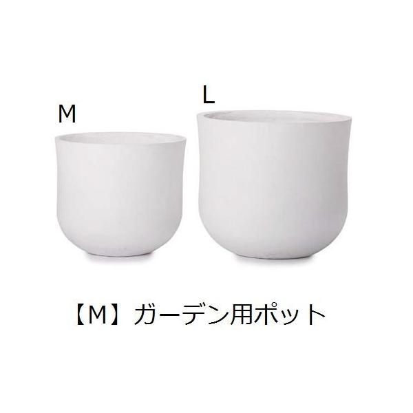 Aؔ | K[fp|bg M  v^[ Aؔ fBXvC CeA K[fjO K[fG |bg O[ A 񂹐A v