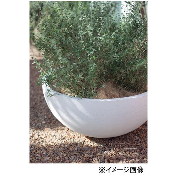 プランター 18号 F54 24cm ビオトープ 植木鉢 鉢 鉢カバー ガーデニング ガーデニング用品 ガー シンプル 正規品スーパーsale 店内全品キャンペーン 鉢植え モダンガーデン