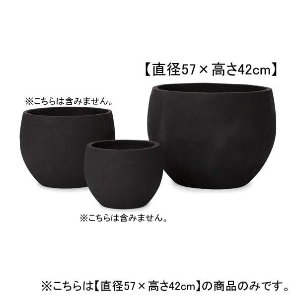 19 {E v^[ | v^[ Aؔ  Jo[ A Vv _K[f K[fjO  vcMUO uR[