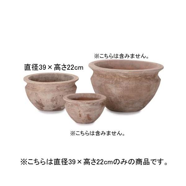 13 eRb^ v^[ | v^[ Aؔ  Jo[ A |bg 悹A Vv _K[f K[fjO  vcM