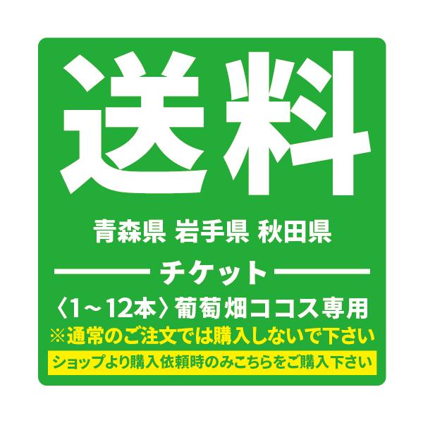 `Pbg 1200~ X 茧 Hc 1`12{