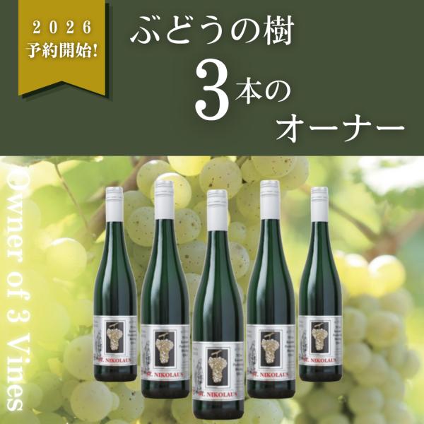 【予約商品】ぶどうの樹3本のオーナー 2026年に実るブドウでできるリースリングのやや甘口ワインが、2027年7月〜8月頃届きます 送料無料《締切り6月末まで！》