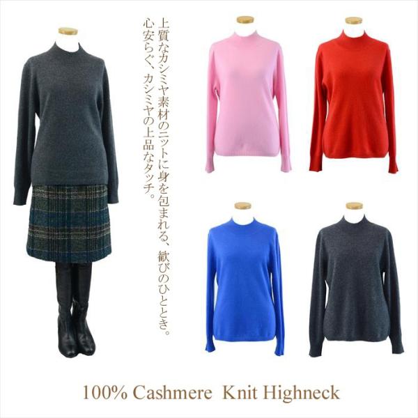 fB[X JV~Z[^[ JV~A100 nClbN