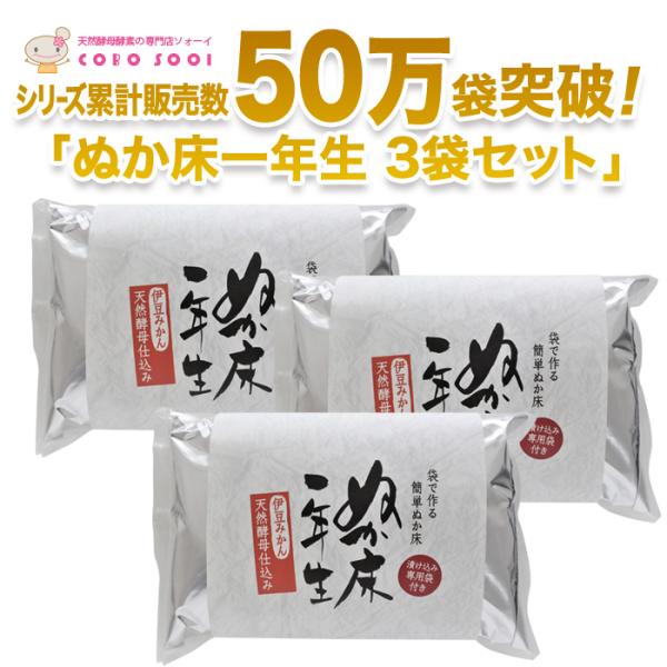 Wbp[܃^Cv@ʂNpbN550×R ①ɑΉ@yHi@ʂ@ʂЂ@_ہ@ɓVR̓VRy@y@̂ĒЂsv@