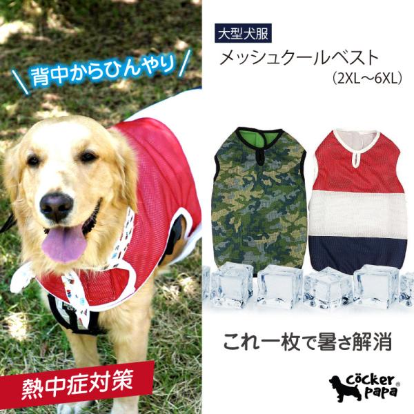 XL 夏服　サマー　クール　ドッグガードクール　冷感　大型犬 楽天市場】犬服 夏 クール 犬 涼感 クールウェア 服 夏 クール